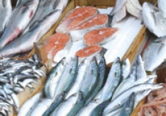 pescaderia-y-elaboracion-de-productos-de-la-pesca-y-acuicultura
