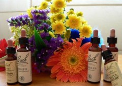 aromaterapia---flores-de-bach